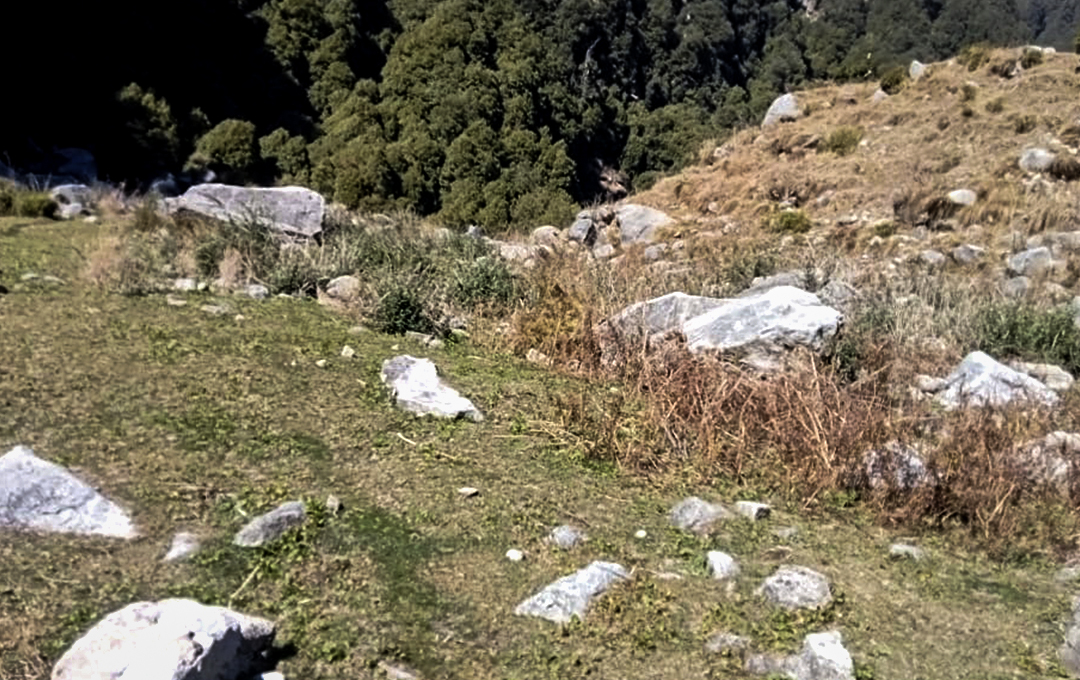 Brahal Project Img 3